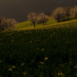 dsc_4658-als-smart-objekt-1_11_L