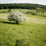 img_0664-als-smart-objekt-1_L